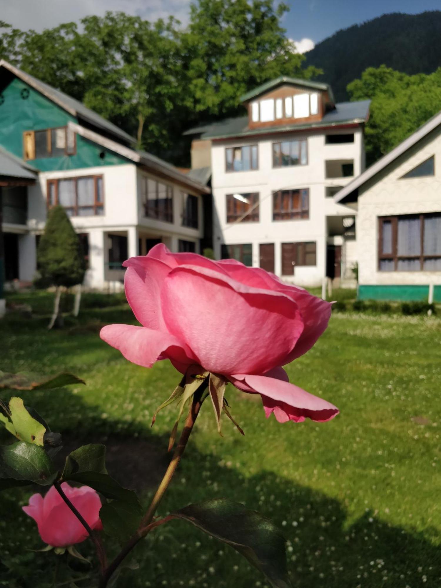 The K2 Alpine Hotel Pahalgam Exterior photo
